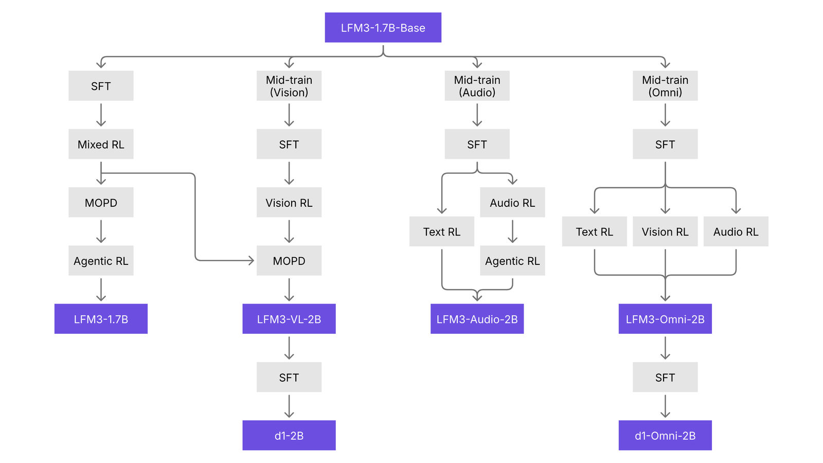 LFM3 共享底座与六种任务模型的关系示意